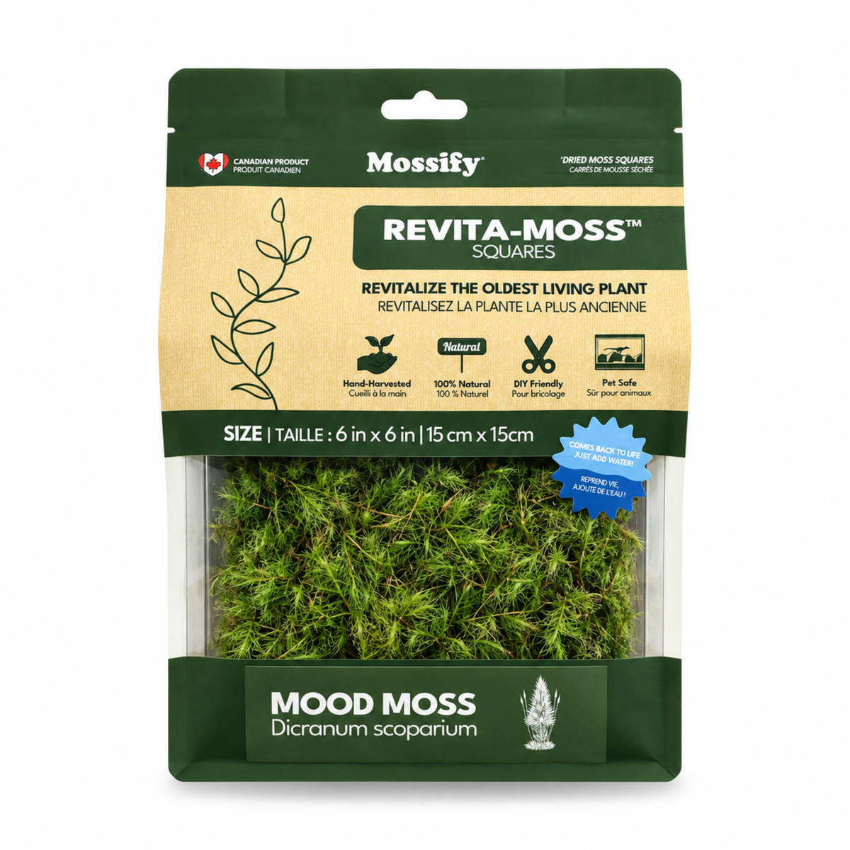 Mood Moss - Revita-Moss (Dicranum)